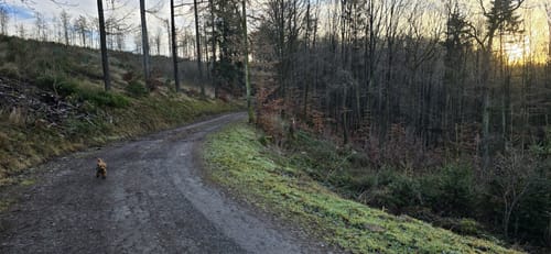Bismarckeiche Rundweg A4 (Rund um Meiswinkel)