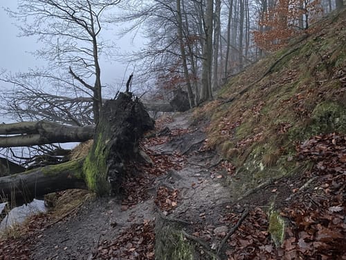 Rund um den Werbellinsee
