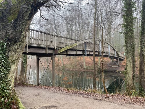 Rund um den Werbellinsee