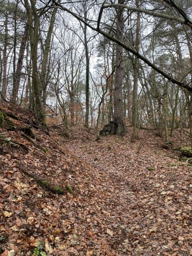 Rund um den Werbellinsee