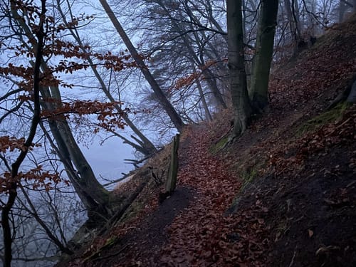 Rund um den Werbellinsee