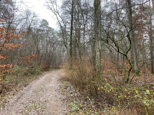 Rund um den Werbellinsee