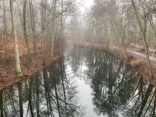 Rund um den Werbellinsee