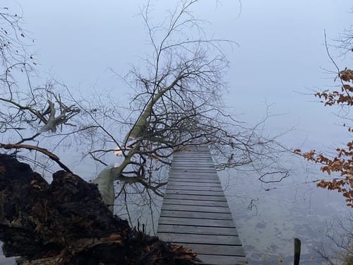 Rund um den Werbellinsee