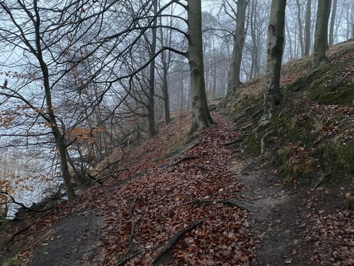 Rund um den Werbellinsee