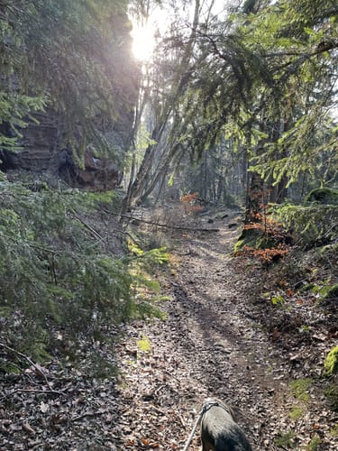 Forellensteig - Gendarm - Spitzbub