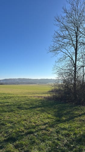 Sielenwand und Nortel