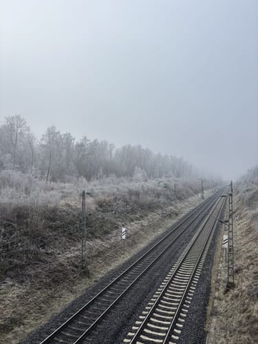 Rundwanderweg Messel 1: Urpferdchen-Weg