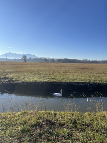 Moorweg und Hirschauer Bucht