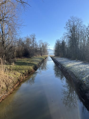 Moorweg und Hirschauer Bucht