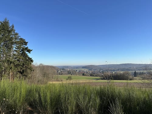 Nahequelle-Pfad (Premiumwanderweg)