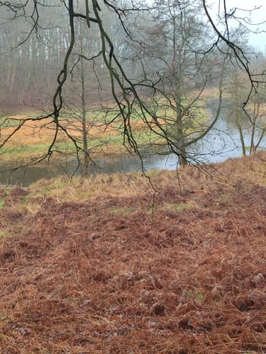 Ihlwald - Runde
