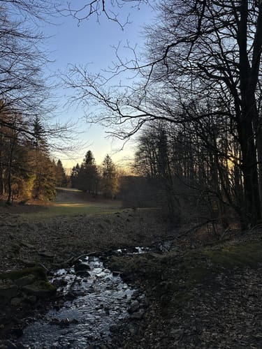 Hoher Meißner P1 (Premiumwanderweg)