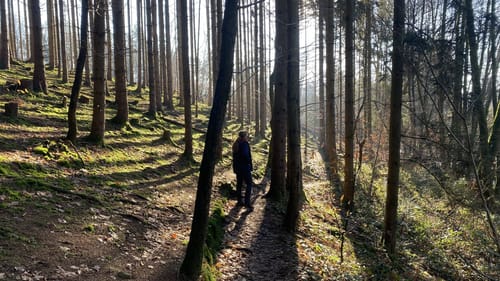 Der Bergener (Traumschleife)