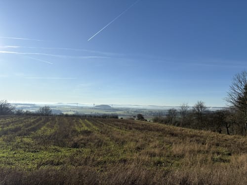 Naturparktrail Südteil-Schwalenberger Wald und Mörth