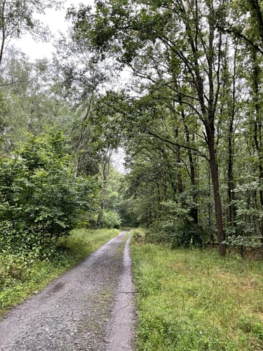 Hoher Berg ab Dietzenbach