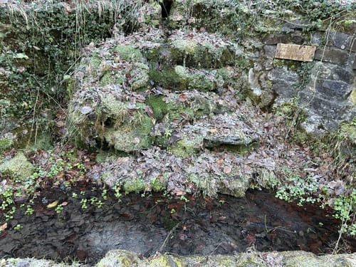 Urbacher Wanderweg 6: : Rund um den Köshof