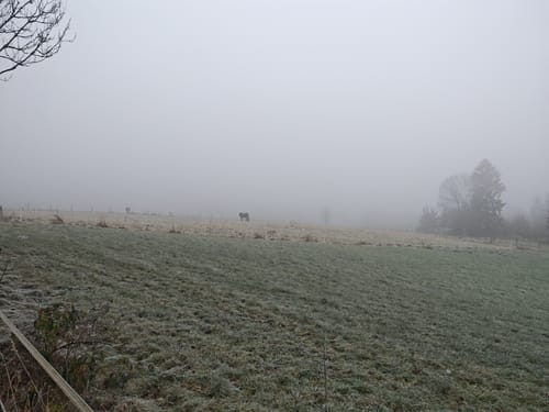 Heed Rundweg A1