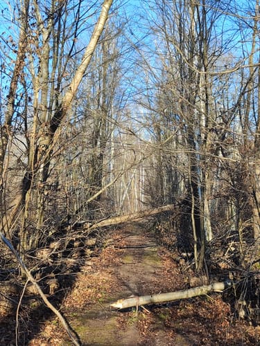 Naturfreundeweg zur Roten Bank