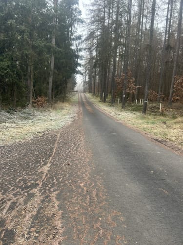 Rhön-Rundweg 4 Michelsrombach