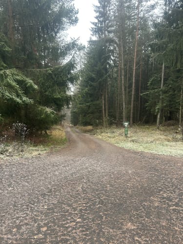 Rhön-Rundweg 4 Michelsrombach