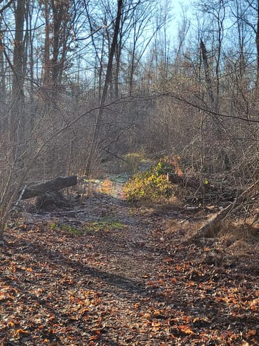 Naturfreundeweg zur Roten Bank