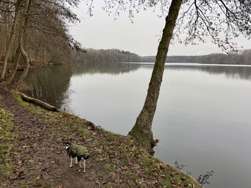 Köttinger und Dinnendahlsee