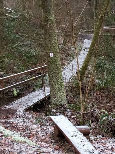 Kaltensteinpfad (Traumschleife)