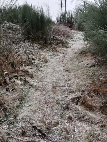 Kaltensteinpfad (Traumschleife)