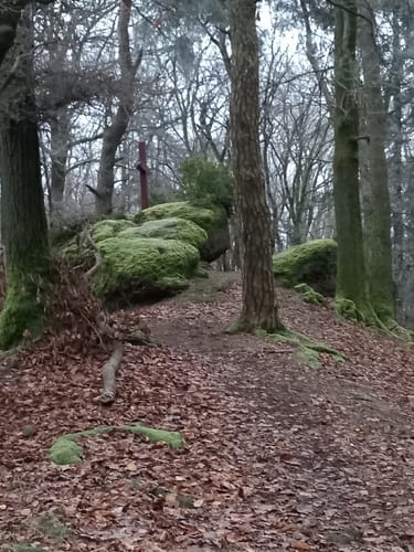 Kaltensteinpfad (Traumschleife)