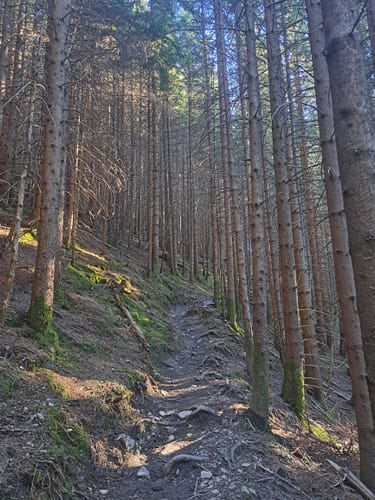 Großer Aufacker ab Oberammergau
