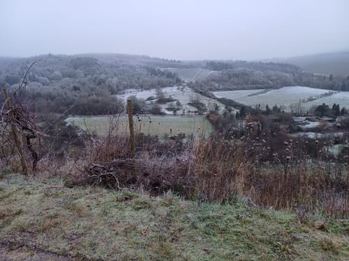 Ruwer-Riesling Erlebnisweg