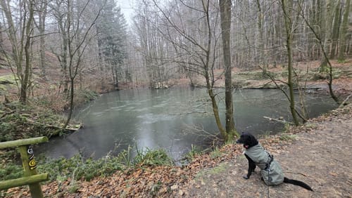 Rundwanderweg Seeheim-Jugenheim Friedensquelle 6: Galgen-Weg