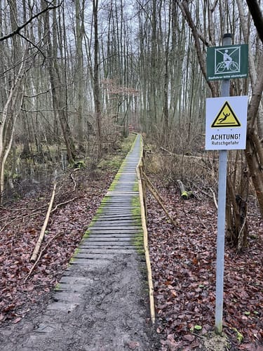 Spur der Zaubersteine