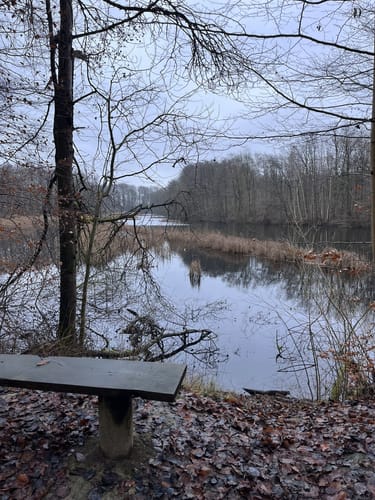 Spur der Zaubersteine