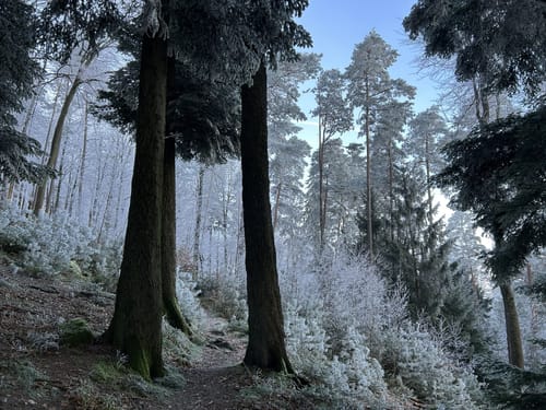 Zum Almersberg