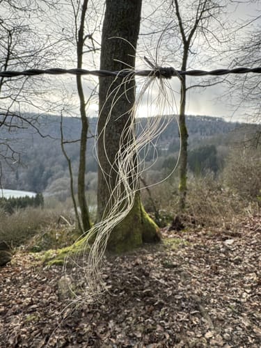 Dedenborn und Rur Panorama Rundweg