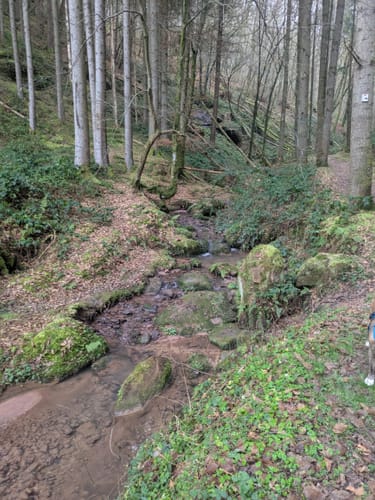 Rieslocher Klamm ab Thaleischweiler-Froschen