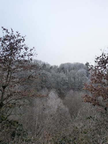 Rieslocher Klamm ab Thaleischweiler-Froschen