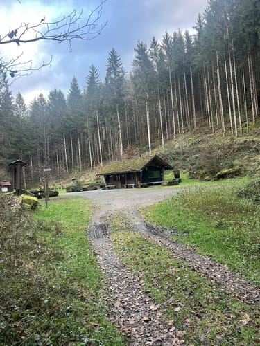 Schopp - Hardterkopf - Hirschalbe