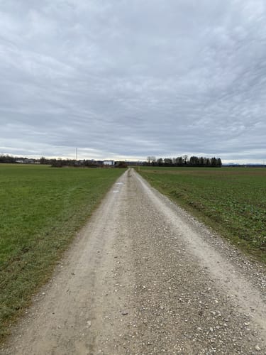 Waldwanderung Vaterstetten