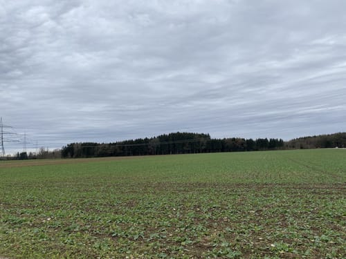 Waldwanderung Vaterstetten