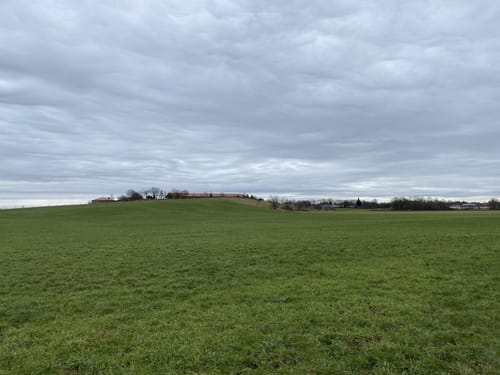 Waldwanderung Vaterstetten