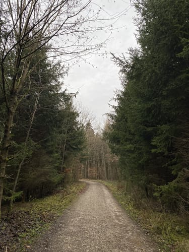 Waldwanderung Vaterstetten