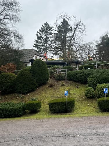 Von Neustadt an der Weinstraße zum Eckkopf