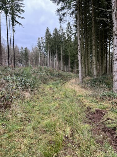 Olef nach Golbach über Broich