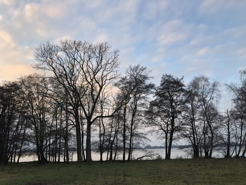 Um den Vierersee bei Bosau
