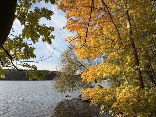 Flakensee