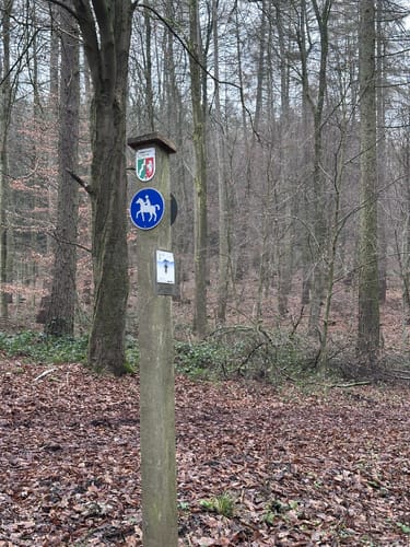 Bad Salzuflen Rundweg 8