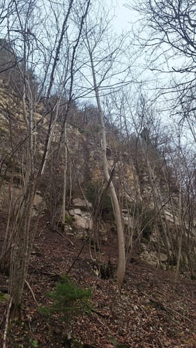 Epfendorf - Schlichemklamm